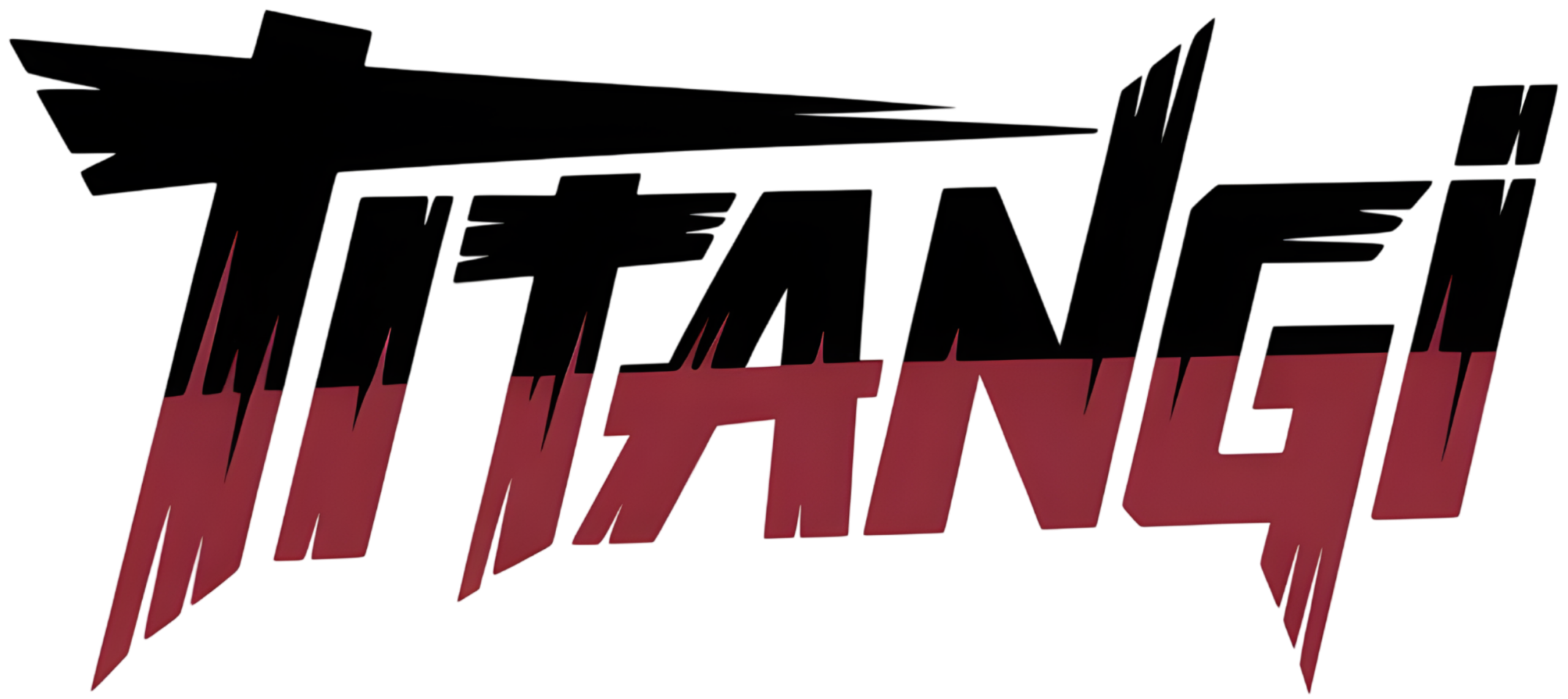 Titan Gi Logo